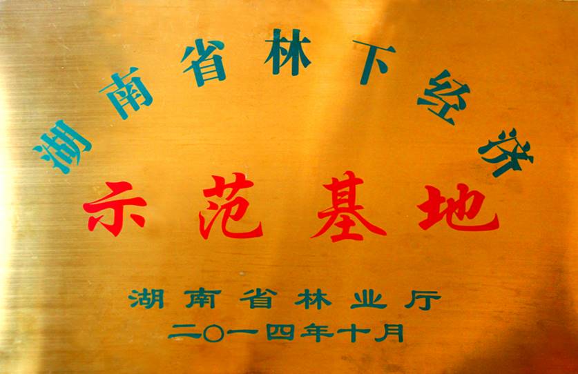 活动照片3